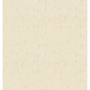 Amour Sheer-Beige