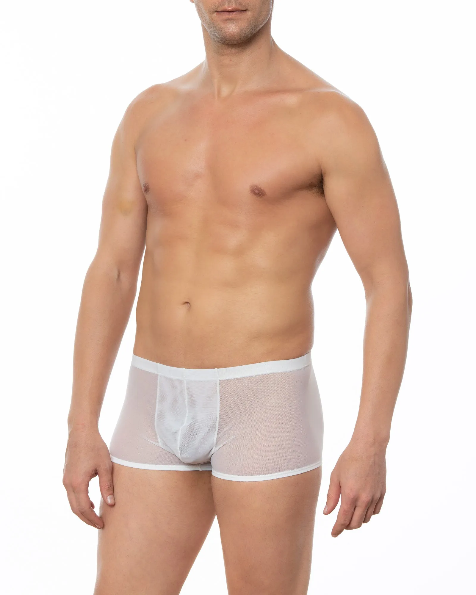 Black - GRANT Sheer Mesh Boxer Brief