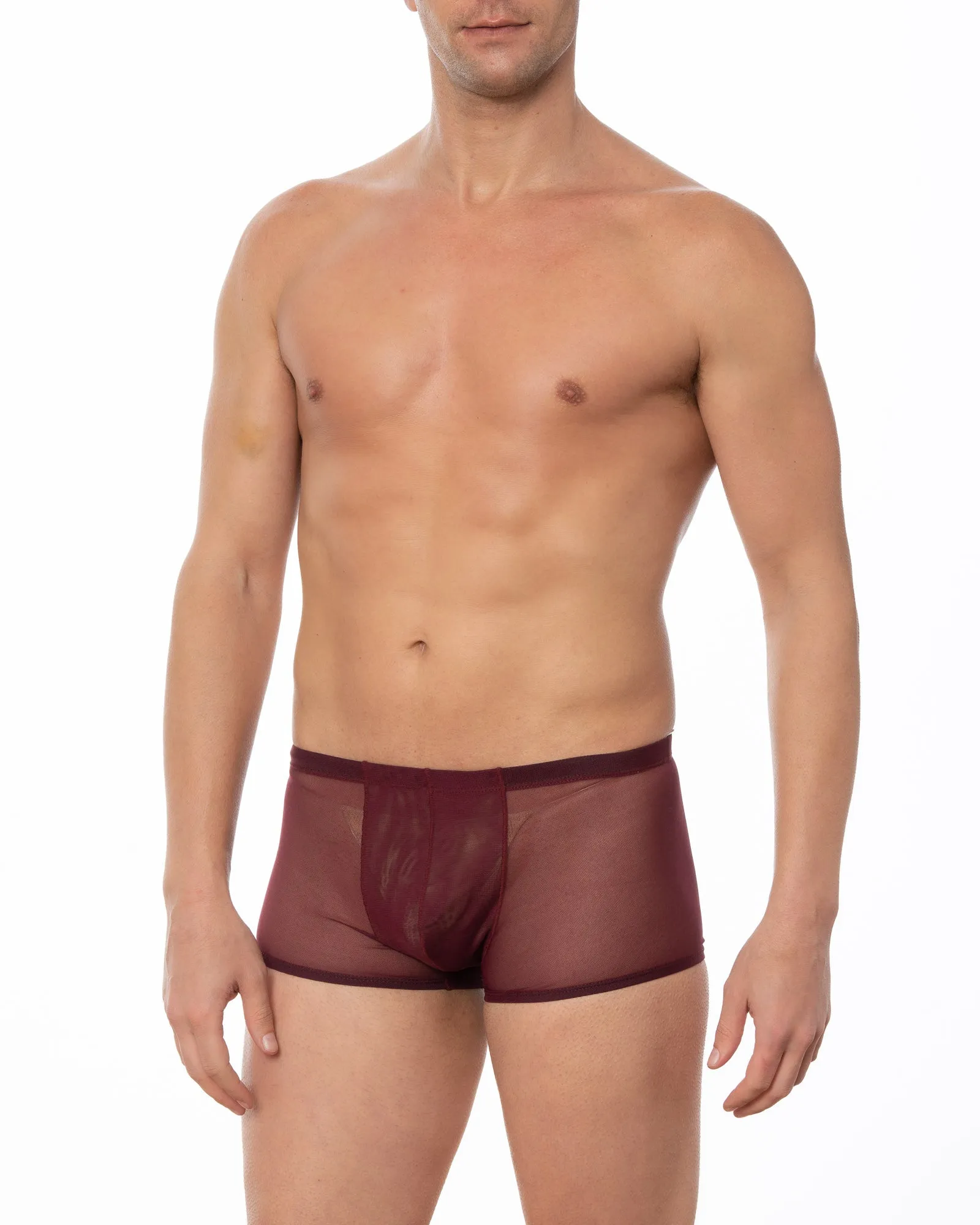 Black - GRANT Sheer Mesh Boxer Brief