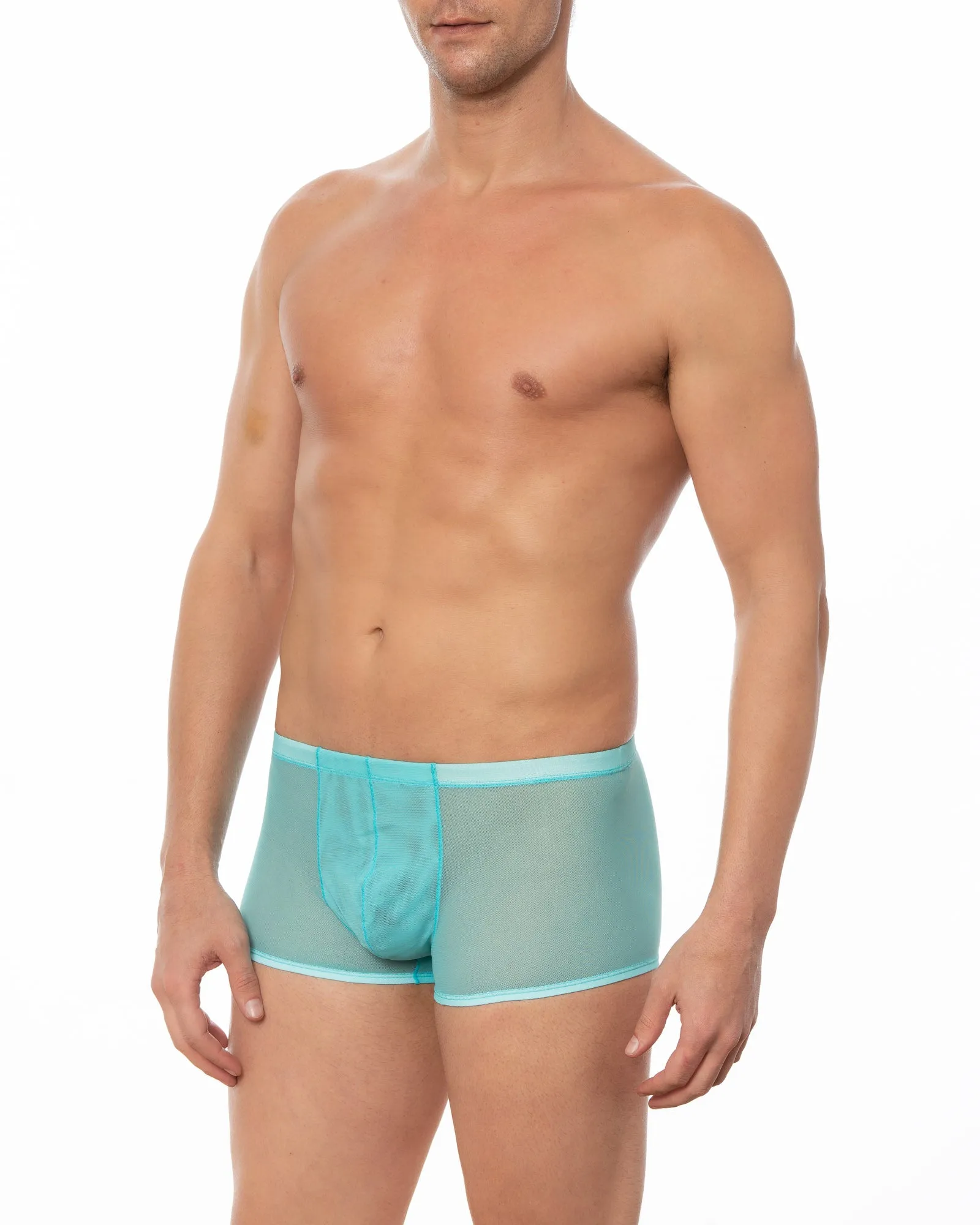 Black - GRANT Sheer Mesh Boxer Brief