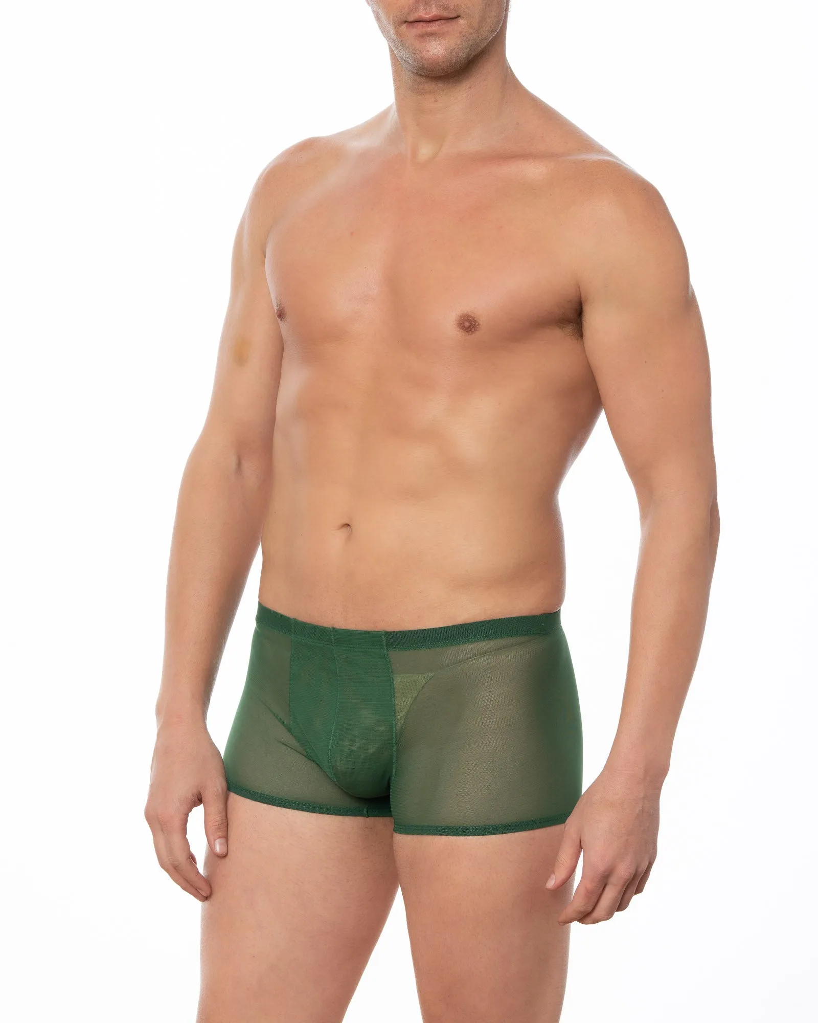 Black - GRANT Sheer Mesh Boxer Brief