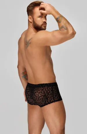 Boxer shorts with leopard flock embroidery - Untamed