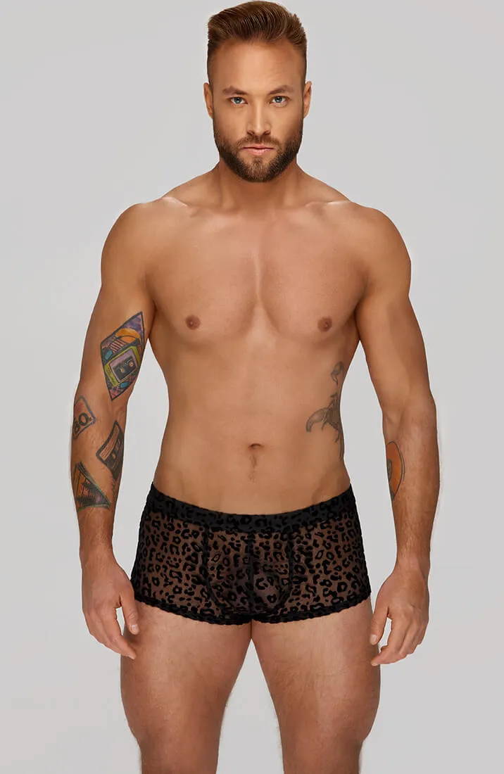 Boxer shorts with leopard flock embroidery - Untamed