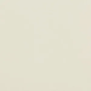 Cambrian Sheer-White