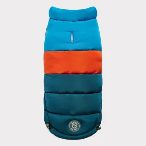 Color Block Dog Puffer | Dark Teal