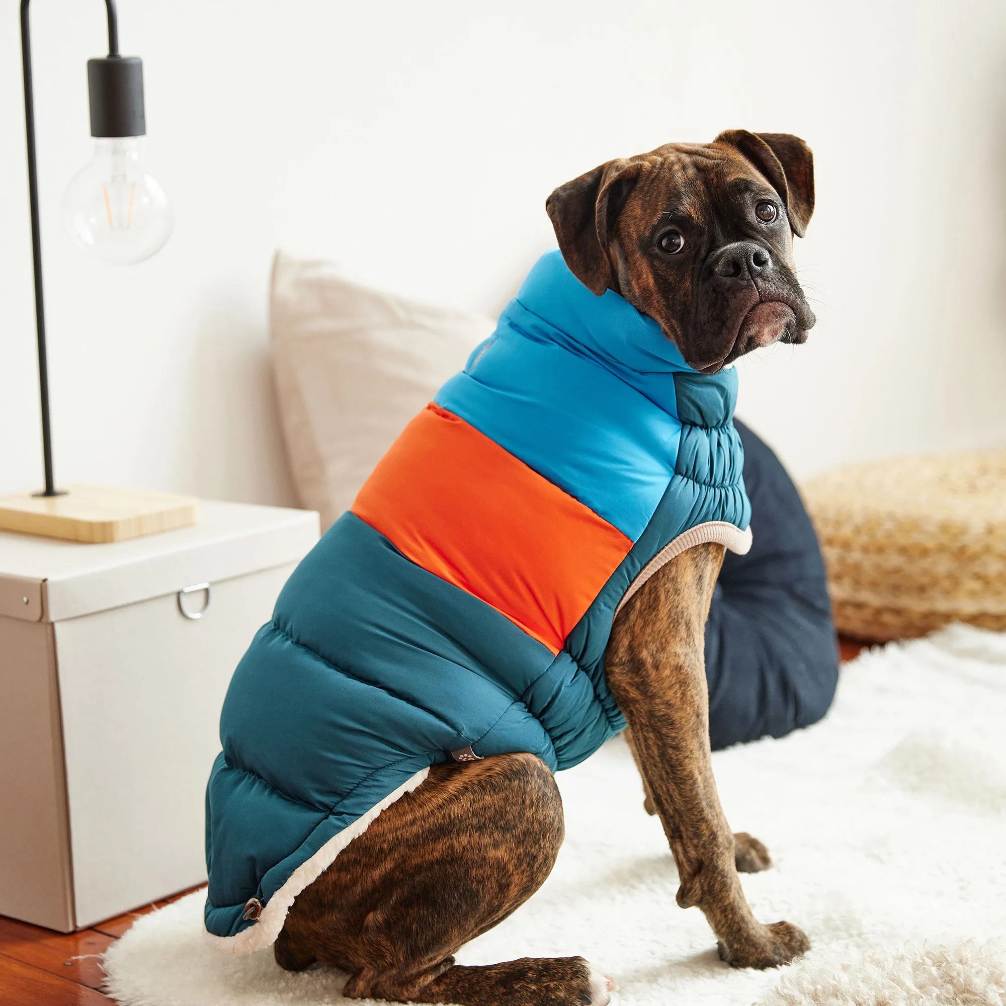 Color Block Dog Puffer | Dark Teal