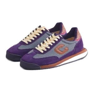 Cutty - Cu Kirkwood Violet