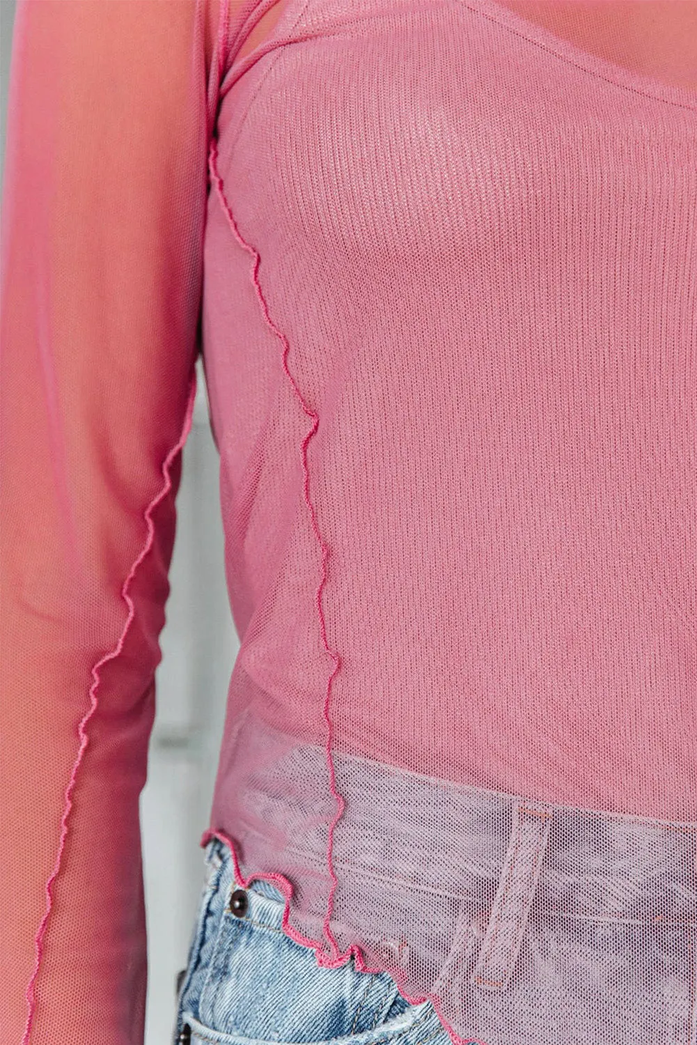 Desert Rose Accent Seam Sheer Long Sleeve Mesh Top