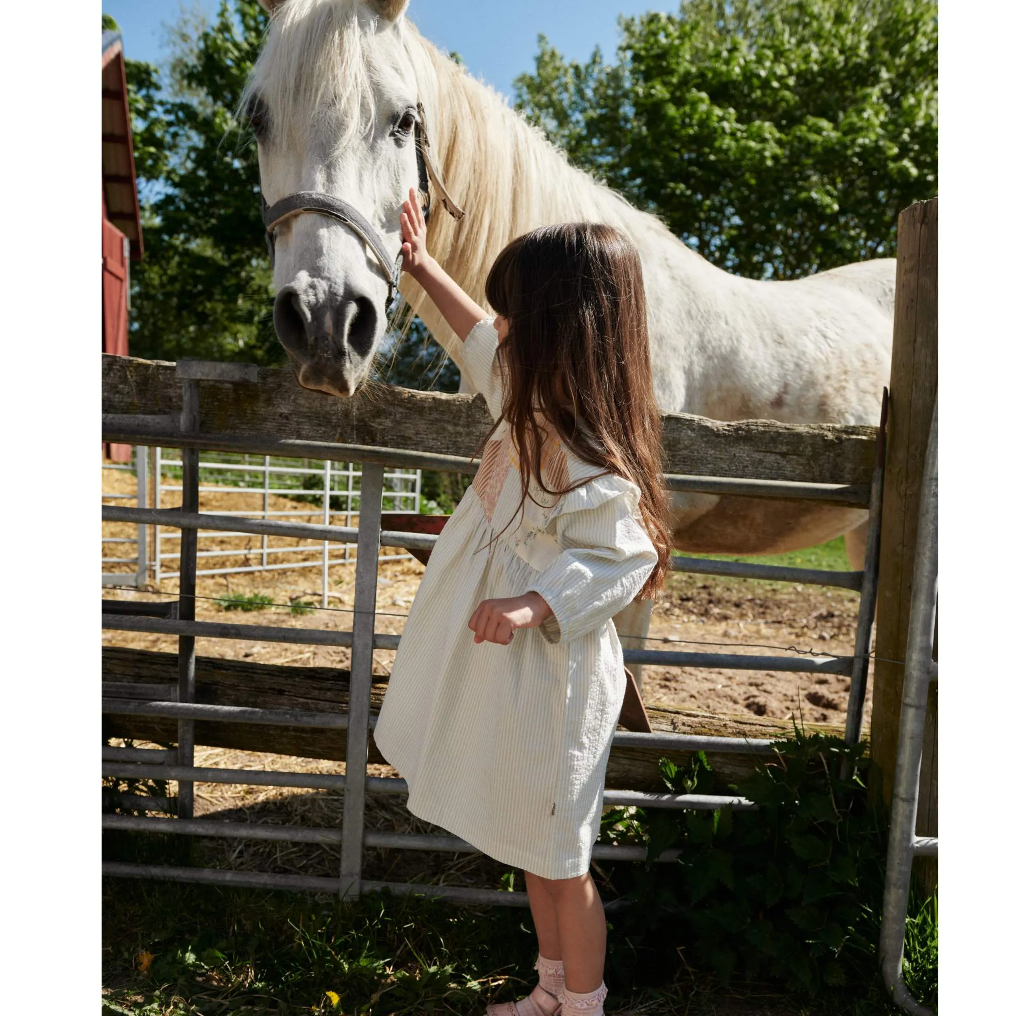 Dress 3/4 Sleeve Gro