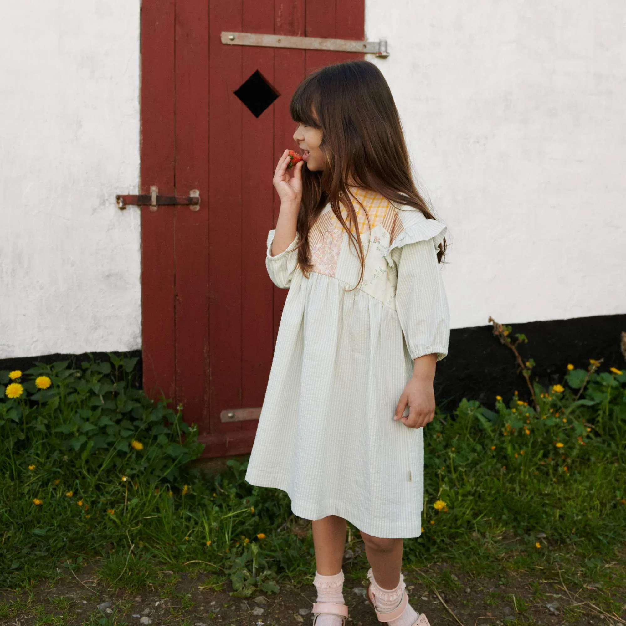 Dress 3/4 Sleeve Gro