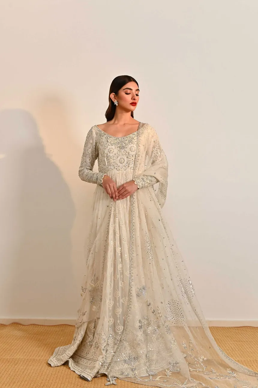 Embellished Pakistani Silk Dress for Party Wear #PN580
