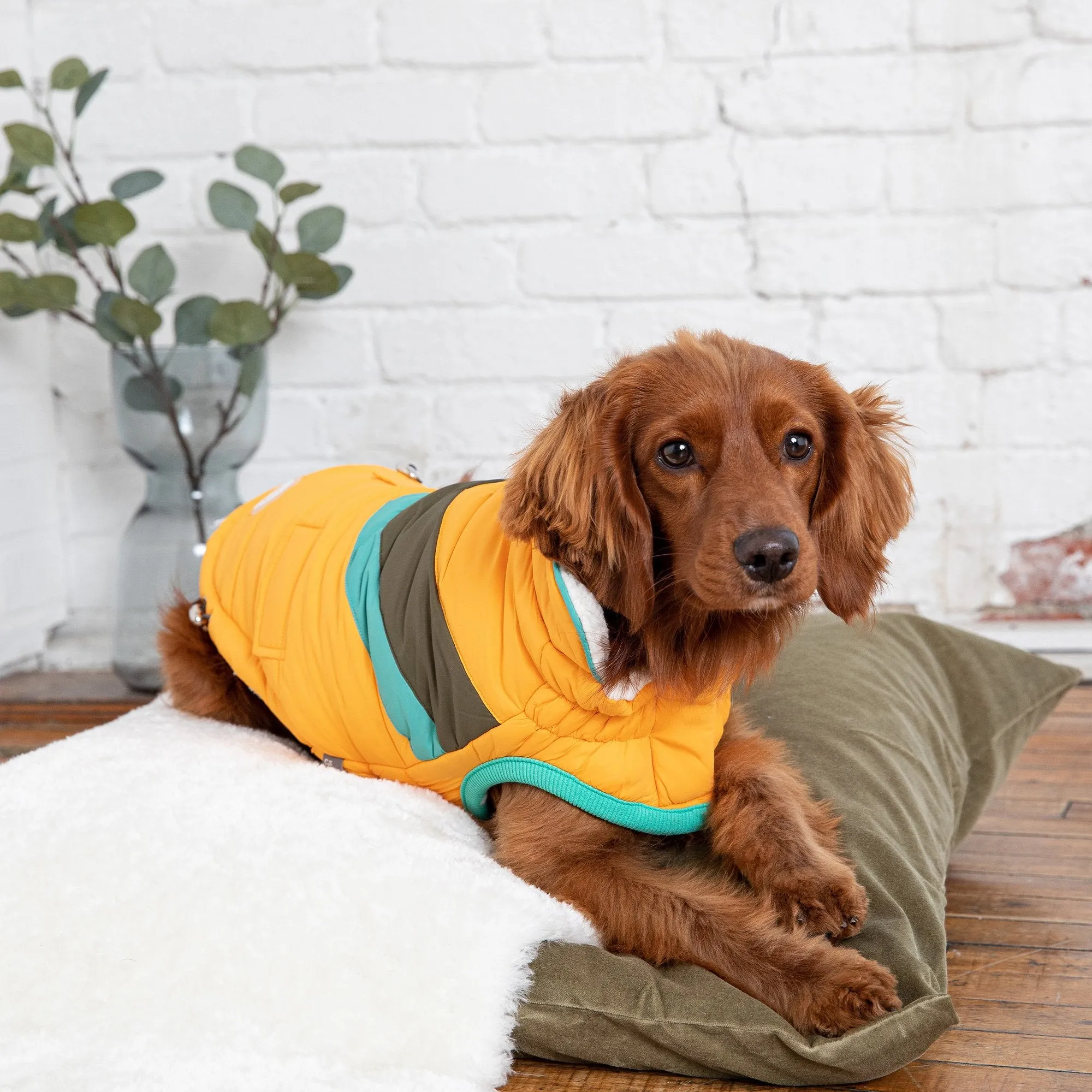 GF Pet Alpine Puffer Vest - Various Colours