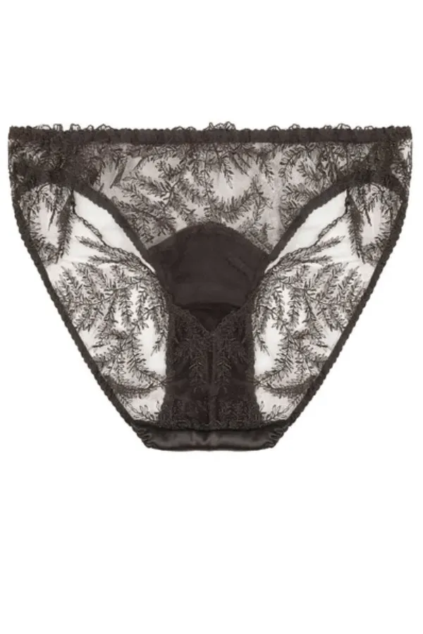 Kyra Embroidered Brief - Brown