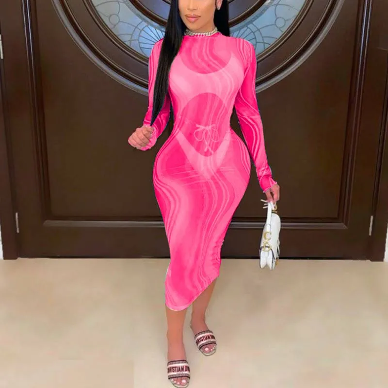 Print Sheer Mesh See Through Cover Up Dress