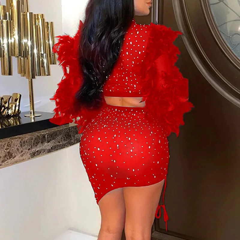 Rhinestone Feather Design Sheer Mesh 2PCS Skirt Set