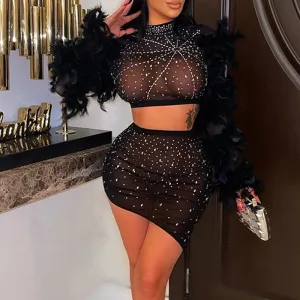 Rhinestone Feather Design Sheer Mesh 2PCS Skirt Set