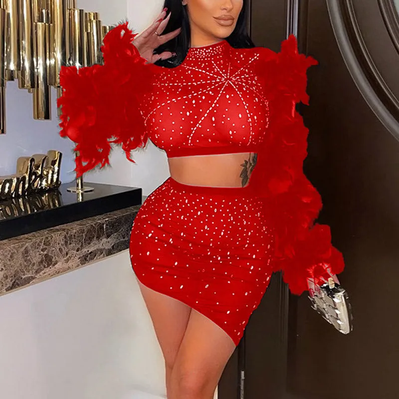 Rhinestone Feather Design Sheer Mesh 2PCS Skirt Set