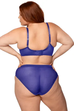 Sheer Mesh High Cut Brief - Blue