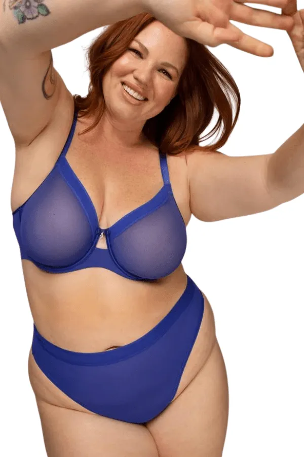 Sheer Mesh High Cut Brief - Blue