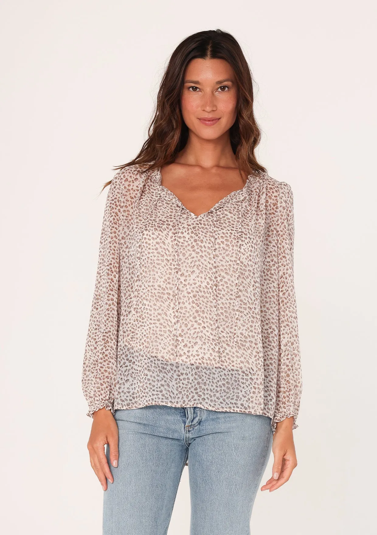 Sheer Printed Long Sleeve Double Tie Neck Blouse