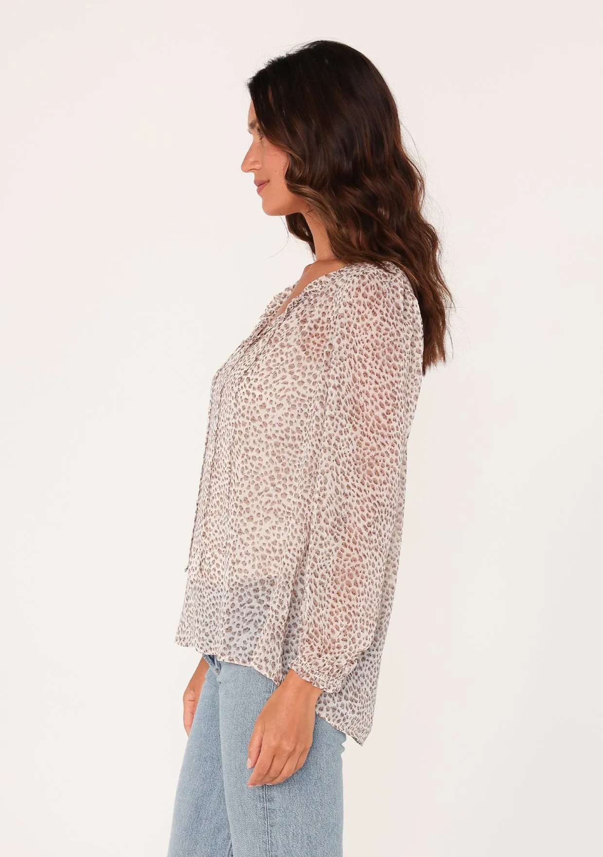 Sheer Printed Long Sleeve Double Tie Neck Blouse
