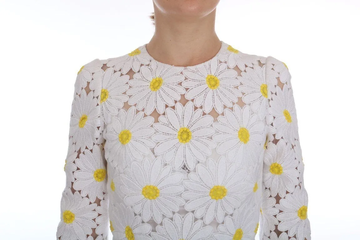 White Chamomile Knee Length Sheath Dress