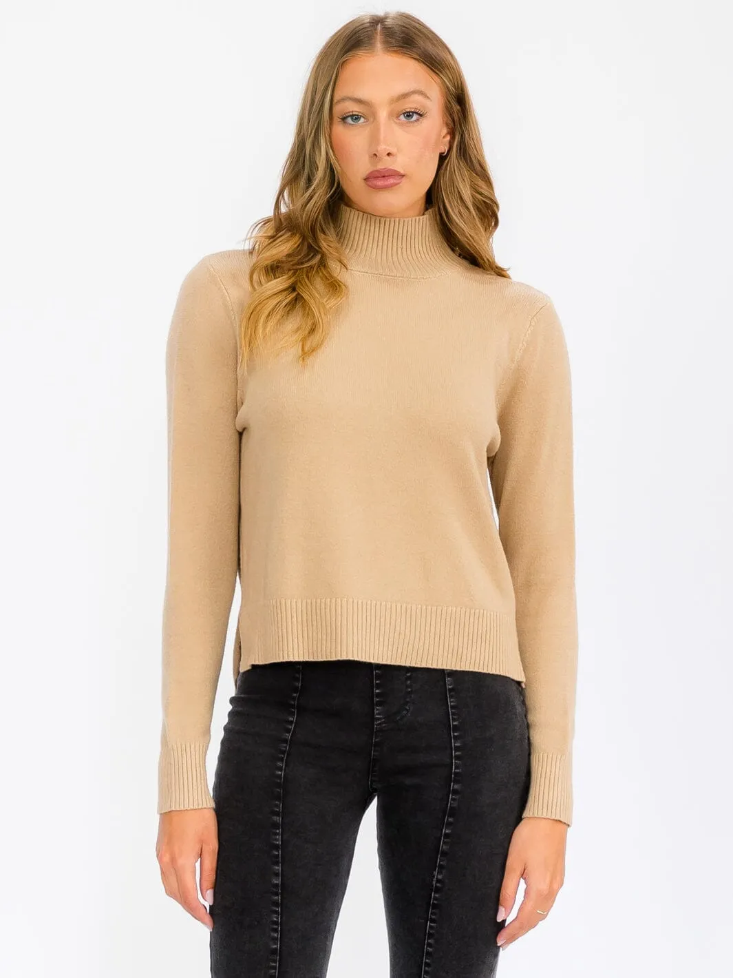 WOMEN'S LONG SLEEVE TURTLE NECK BLOUSE TOP